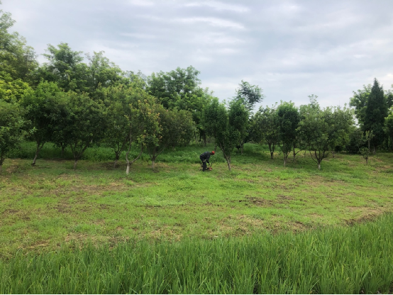 天津市東麗郊野公園PPP項(xiàng)目順利通過(guò)2022年下半年運(yùn)維績(jī)效考核 天津市東麗郊野公園PPP項(xiàng)目順利通過(guò)2022年下半年運(yùn)維績(jī)效考核