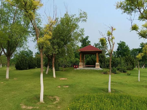 天津市東麗郊野公園PPP項(xiàng)目順利通過2022年上半年運(yùn)維績(jī)效考核 天津市東麗郊野公園PPP項(xiàng)目順利通過2022年上半年運(yùn)維績(jī)效考核