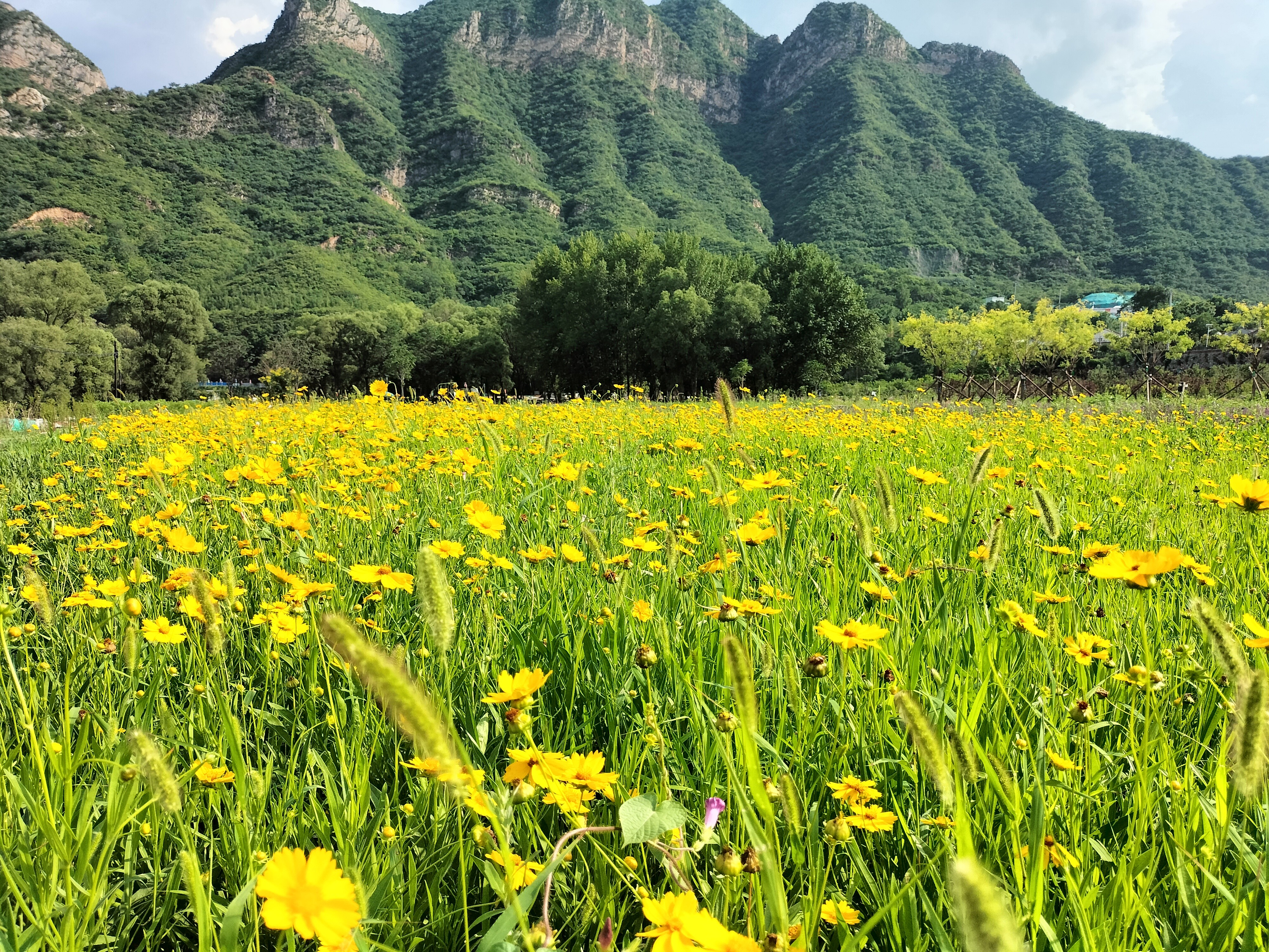 【敬請收看】央視《創(chuàng)新進行時》專題報道永定河山峽段青白口濕地,將于2月20日精彩上線 【敬請收看】央視《創(chuàng)新進行時》專題報道永定河山峽段青白口濕地,將于2月20日精彩上線
