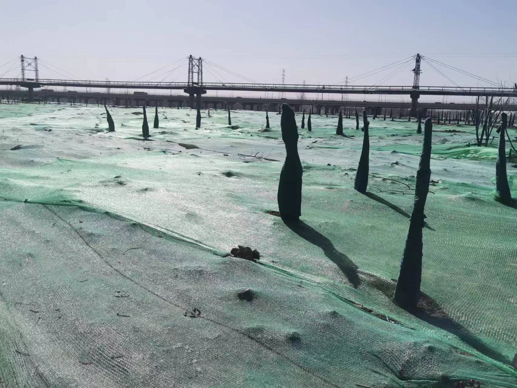 永定河綜合治理北京區(qū)域迅速應對沙塵藍色預警 永定河綜合治理北京區(qū)域迅速應對沙塵藍色預警