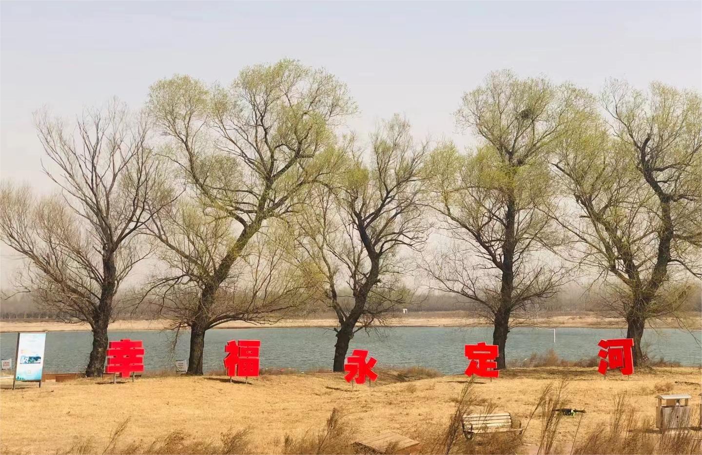 永定春來早 園林養(yǎng)護忙 永定春來早 園林養(yǎng)護忙
